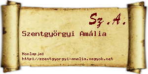 Szentgyörgyi Amália névjegykártya